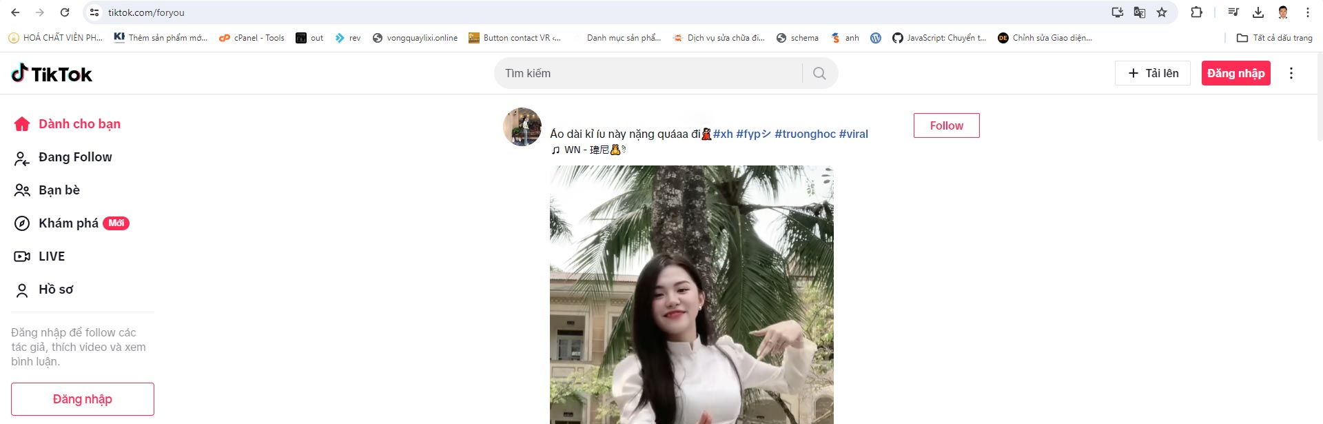 web kiếm tiền tiktok