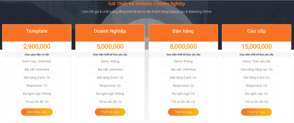 Gia thiet ke website wordpress