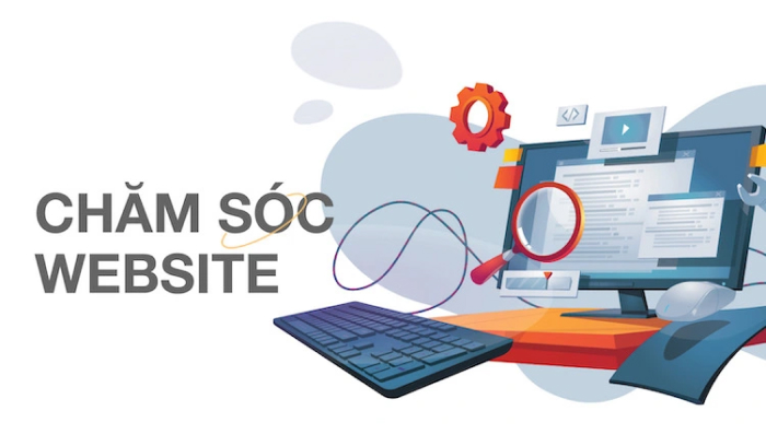 Thực hiện SEO hiệu quả với dịch vụ chăm sóc website