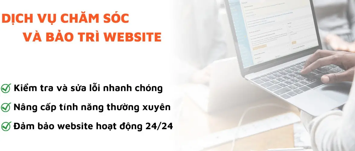 Thực hiện SEO hiệu quả với dịch vụ chăm sóc website